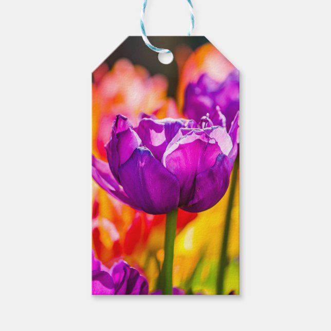 Tulips Enchanting Purple Gift Tags (Front)