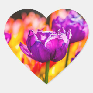 Tulips Enchanting Purple Heart Sticker