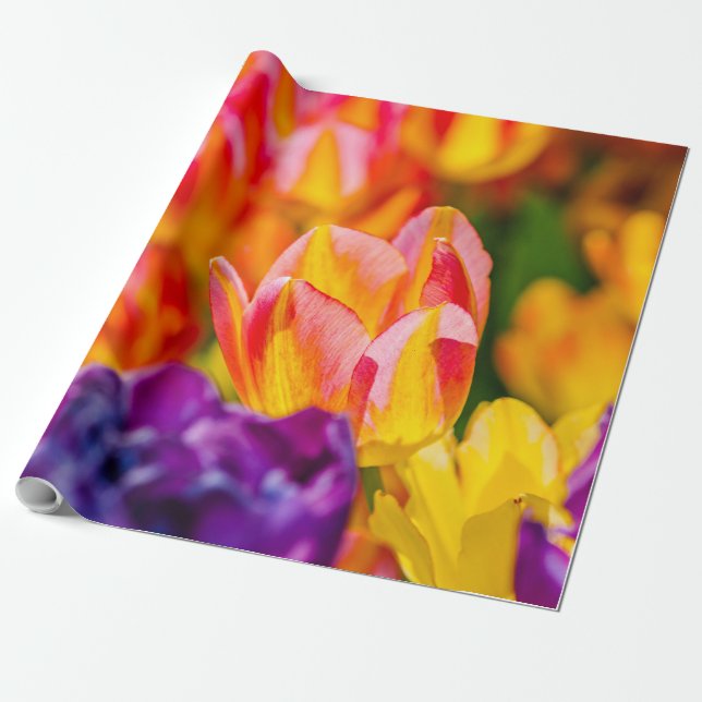 Tulips Enchanting Wrapping Paper (Unrolled)