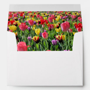 Tulips Envelope