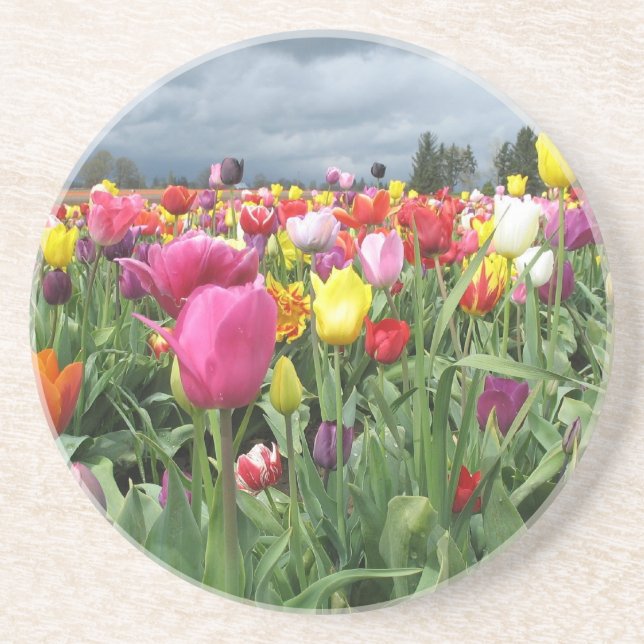 Tulips Field Coasters (Front)