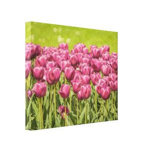 Tulips Field Flower Photo Canvas Print