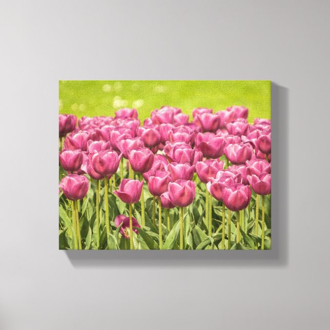 Tulips Field Flower Photo Canvas Print (Front)