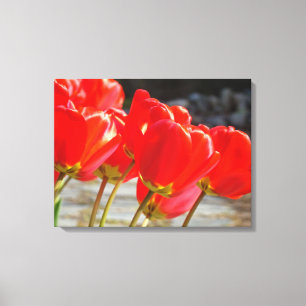 Tulips Floral art print canvas Red Tulip Flowers