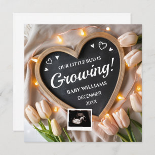Tulips Flower Baby Announcement for Social Media