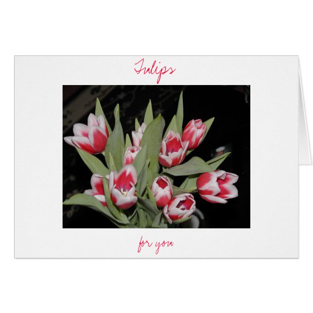 Tulips For You (Front Horizontal)