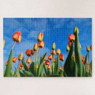 Tulips from Amsterdam. Jigsaw Puzzle