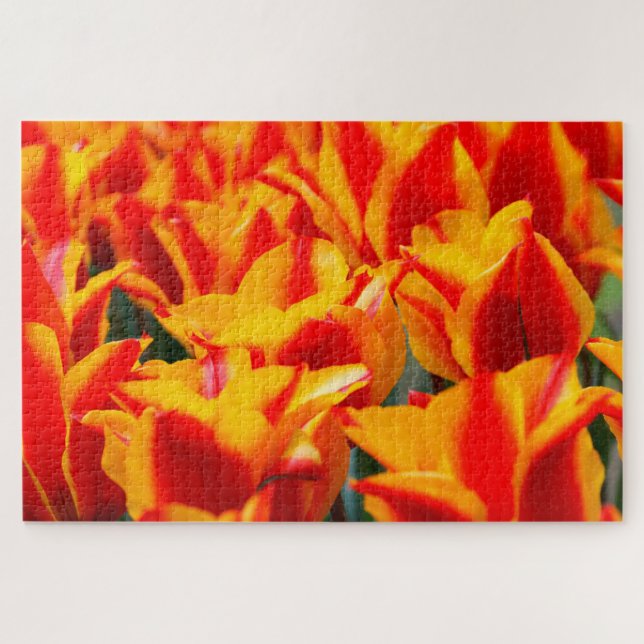 Tulips from Amsterdam. Jigsaw Puzzle (Horizontal)