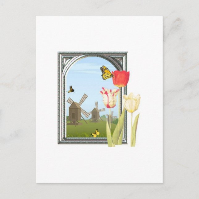 Tulips from Amsterdam Postcard (Front)