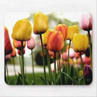 Tulips from Kelsy Mouse Mat