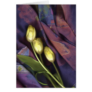 Tulips From the Heart