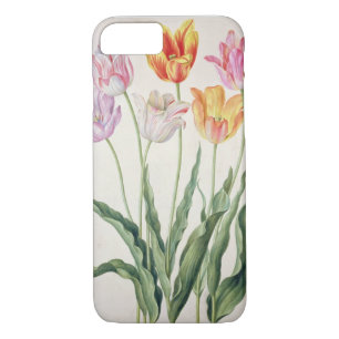 Tulips, from the 'Nassau Florilegium' (w/c on pape iPhone 8/7 Case