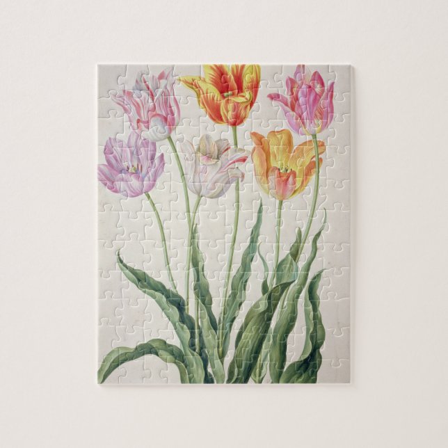 Tulips, from the 'Nassau Florilegium' (w/c on pape Jigsaw Puzzle (Vertical)