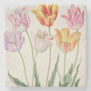 Tulips, from the 'Nassau Florilegium' (w/c on pape Stone Coaster