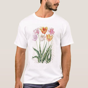 Tulips, from the 'Nassau Florilegium' (w/c on pape T-Shirt