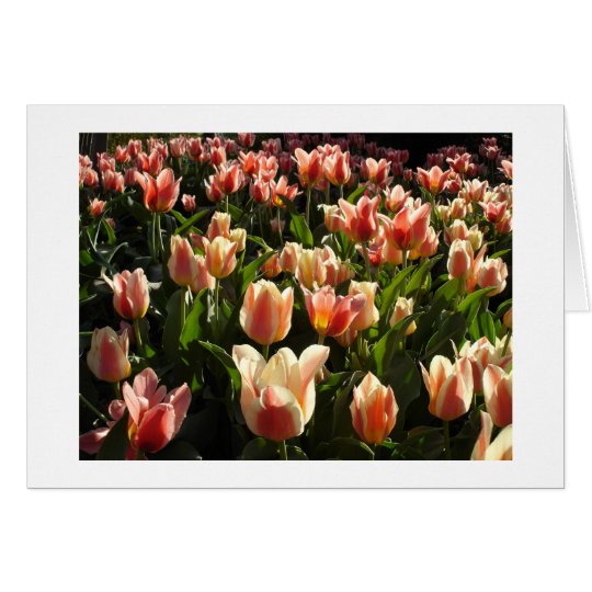 tulips galore card