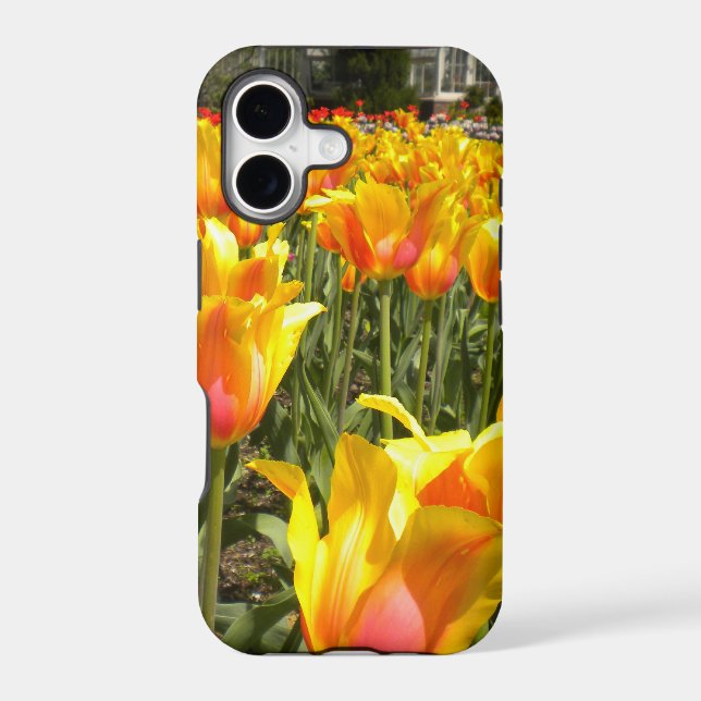 Tulips Galore iPhone 5 case (Back)