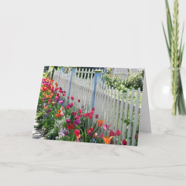 Tulips Garden Along White Picket Fence Photo Card (Front)
