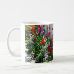 Tulips garden white picket fence mug Ghiradelli