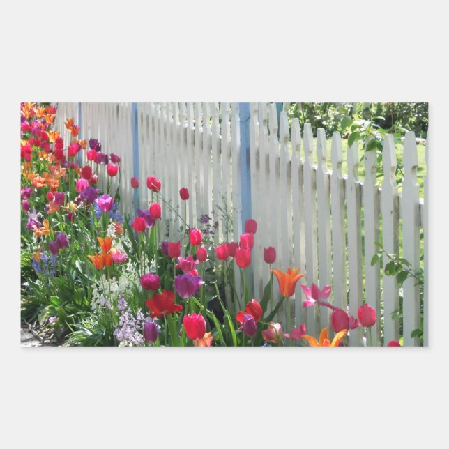 Tulips garden white picket fence photo sticker (Front)