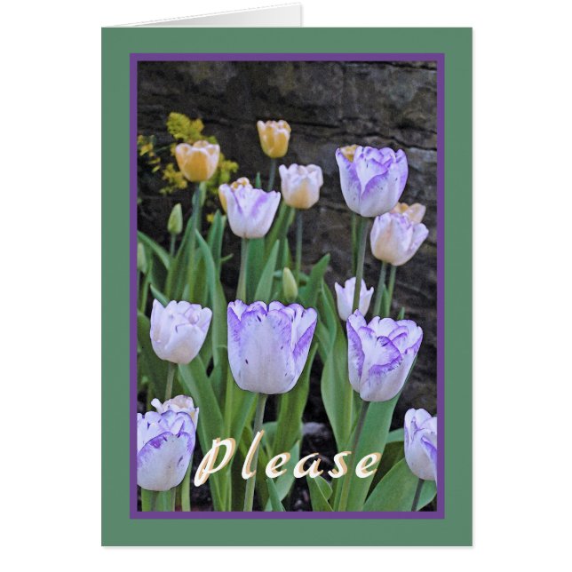 Tulips/Get Well Soon/From All Of Us (Front)