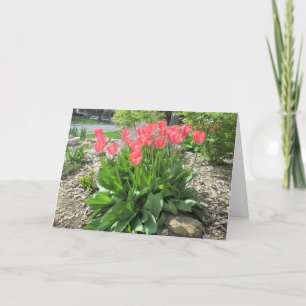 Tulips Get Well Swiftly Card