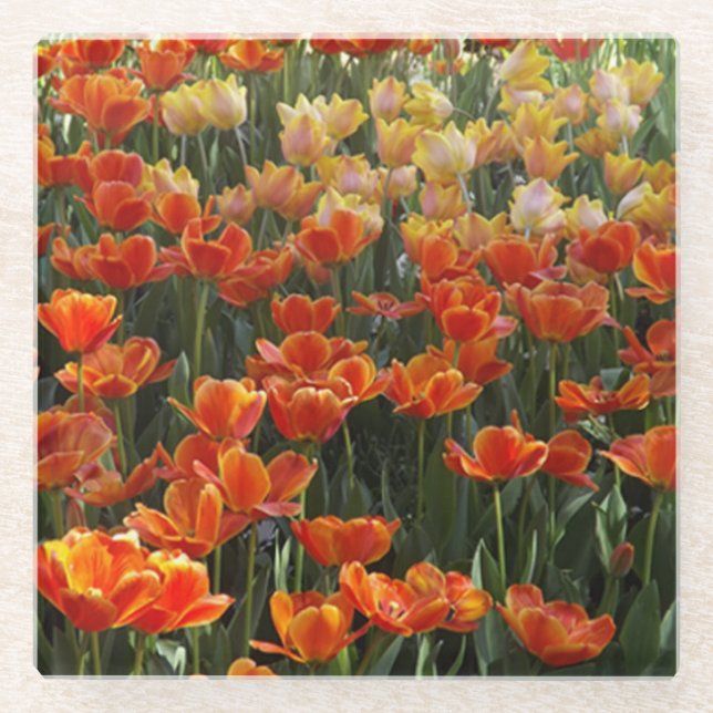 Tulips Glass Coaster (Front)