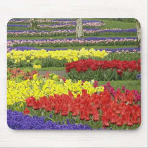 Tulips, Grape Hyacinth, and Daffodils, 2 Mouse Mat