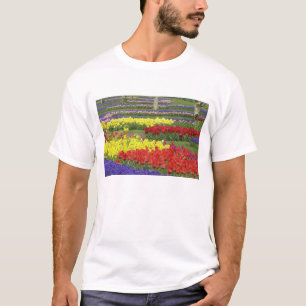 Tulips, Grape Hyacinth, and Daffodils, 2 T-Shirt