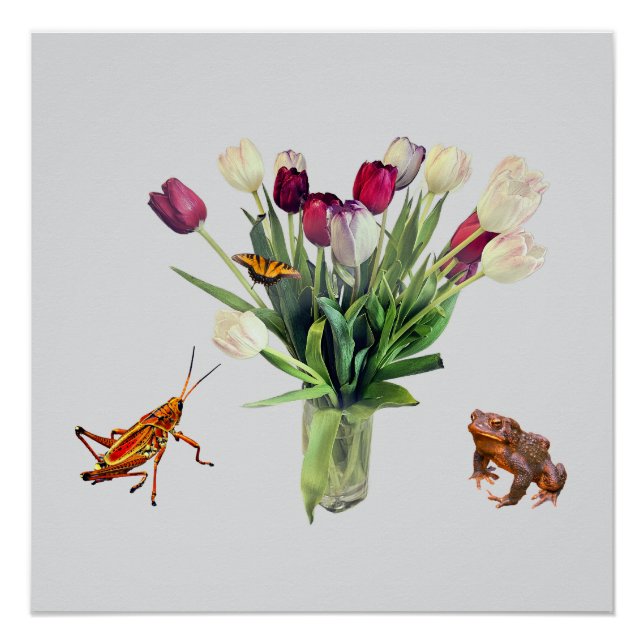 Tulips, Grasshopper, Butterfly, and Frog  Poster (Front)