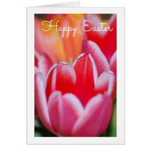 Tulips Greeting Card