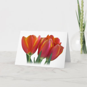 Tulips Greeting Card