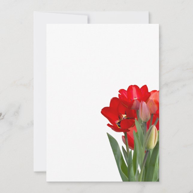 Tulips Holiday Card (Front)