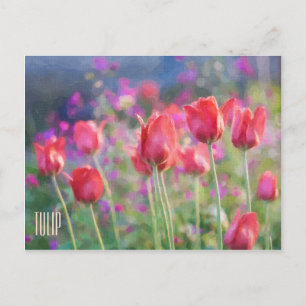 Tulips Horizontal Postcard