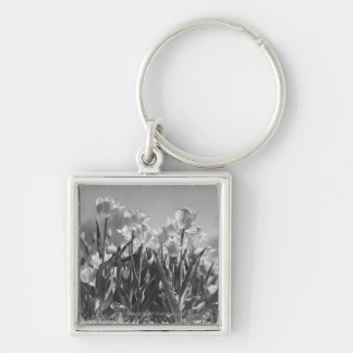 Tulips in bloom key ring