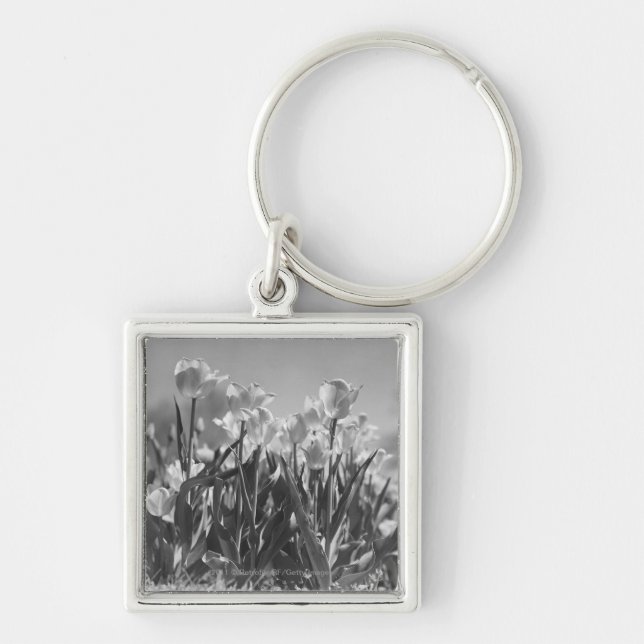 Tulips in bloom key ring (Front)