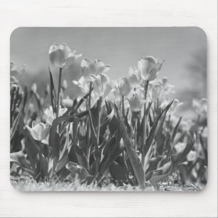 Tulips in bloom mouse mat