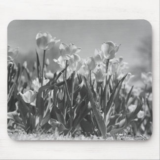 Tulips in bloom mouse mat