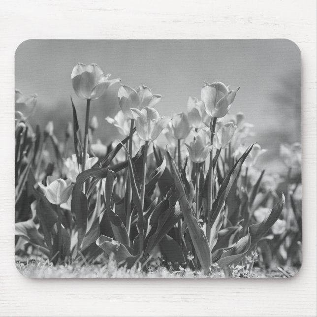 Tulips in bloom mouse mat (Front)