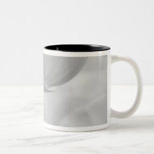 Tulips in Keukenhof Gardens, Holland. Two-Tone Coffee Mug