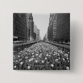 Tulips in middle of city street 15 cm square badge
