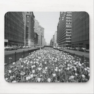 Tulips in middle of city street mouse mat