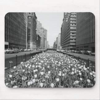 Tulips in middle of city street mouse mat