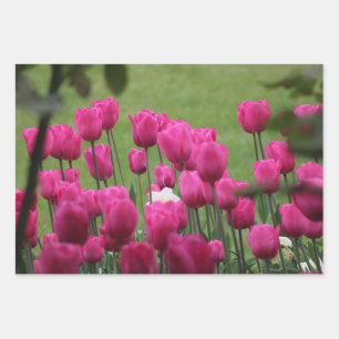 Tulips in Palais Royal Wrapping Paper Sheet
