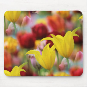 Tulips in Spring Mouse Mat