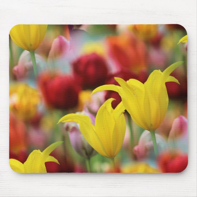 Tulips in Spring Mouse Mat (Front)