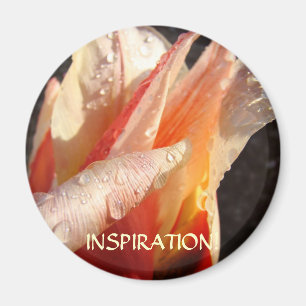 TULIPS INSPIRATION MAGNET Raindrops Tulip Flowers