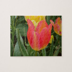 Tulips Jigsaw Puzzle