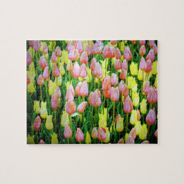 tulips jigsaw puzzle (Horizontal)