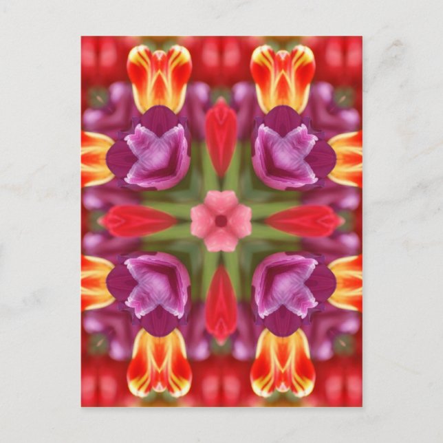 Tulips Kaleidoscope Postcard (Front)